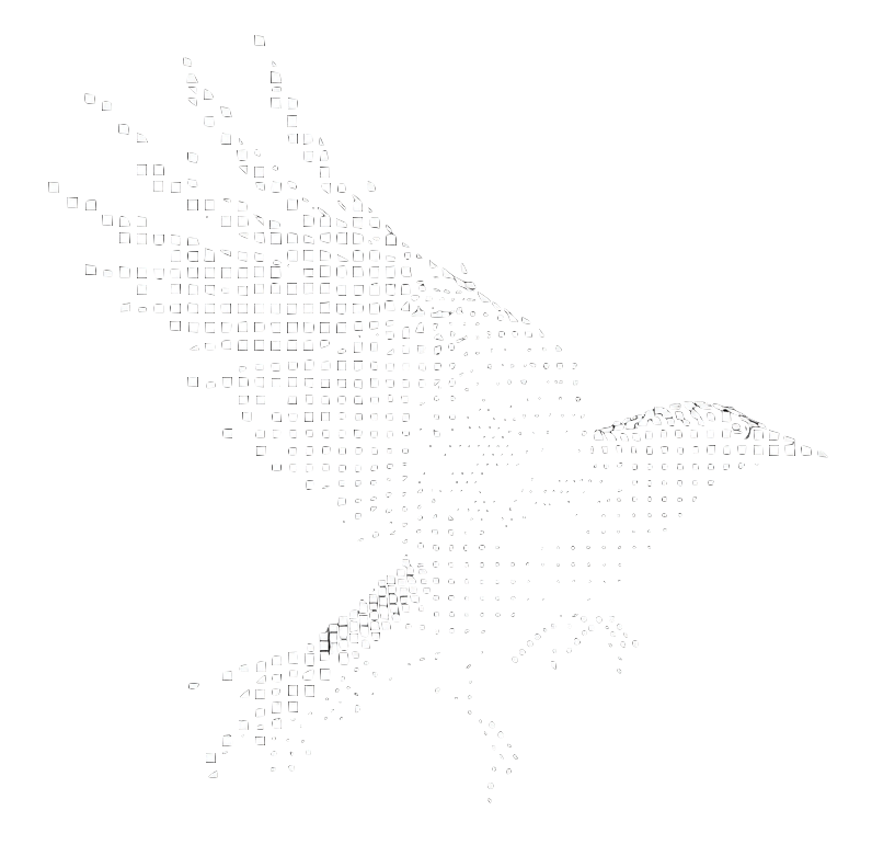 Data Raven
