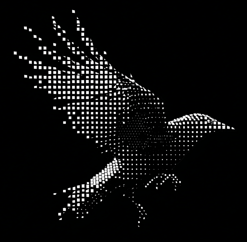 Data Raven